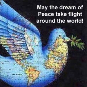 Meet your Posher, Diane fitzwater